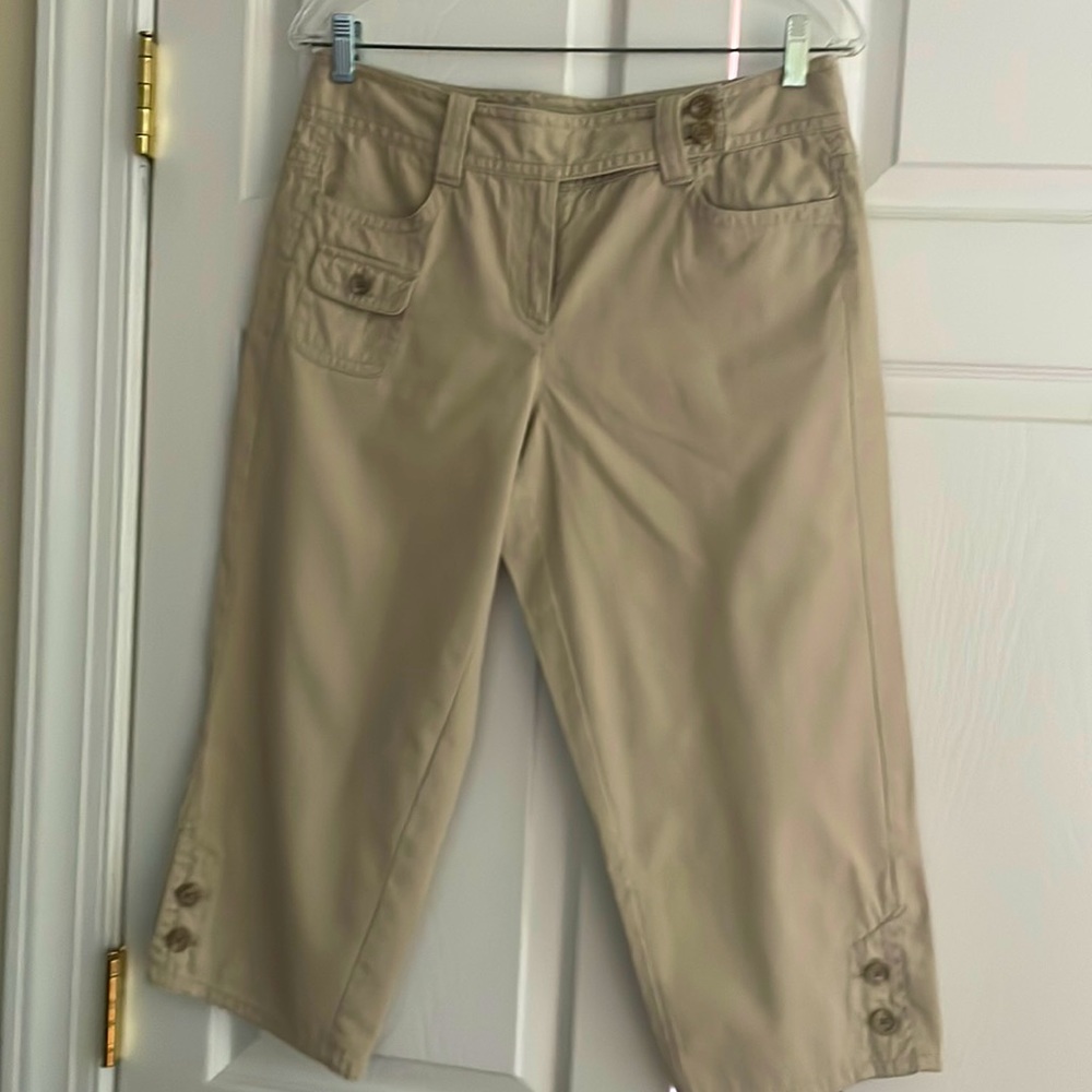 Ann Taylor Pants